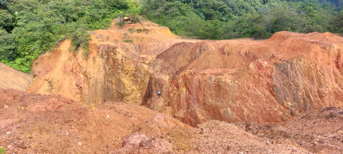 Gold and bauxite mining 39